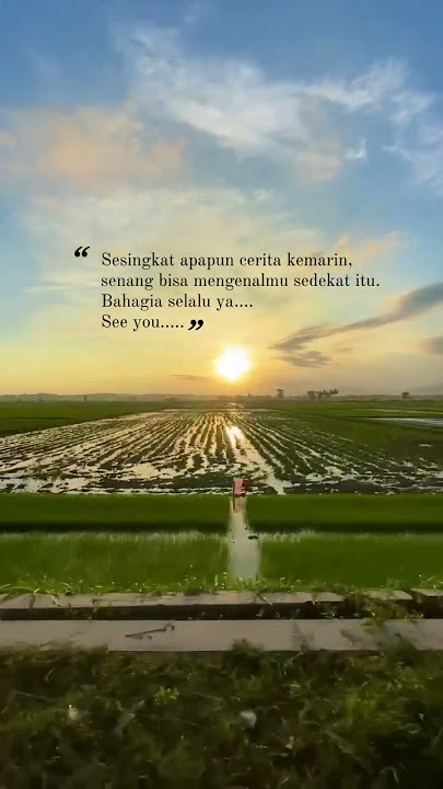 biar saja #story #storywa #cinta #storywa30detik #storywagalau #ngeshortsbareng #fyp #shorts