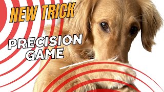 Precision game! Team Bissevov Dogtraining