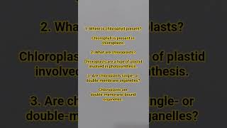 chloroplast