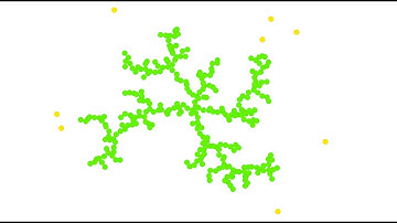 Diffusion Limited Aggregation in Scratch