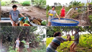 MUITA FARTURA DE FRUTAS NO SÍTIO! FIZ UMA BOA COLHEITA NESSA TARDE.