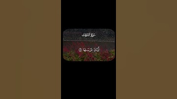 سورة النازعات ||القارئ زين العابدين الحديدي