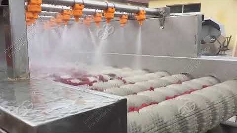 Soft Brush Type Dates Strawberry Cleaning Machine Video