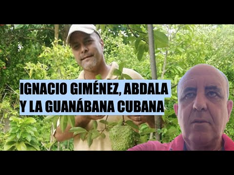 ABDALA, EL CAMBIO FRAUDE DE IGNACIO GIMÉNEZ Y LA GUANÁBANA DEL ESPÍA GERARDO HERNÁNDEZ NORDELO