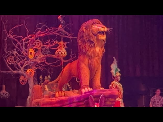 wdw ライオンキング WDW】フロリダのディズニーランドでライオンキング！ FESTIVAL