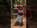 Actual Tips #shorts #psychology #tips