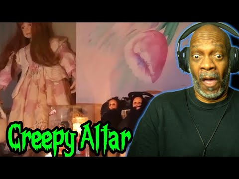 I Can't Believe it. Top 15 Videos Only Brave People Can Watch (Reaction)
