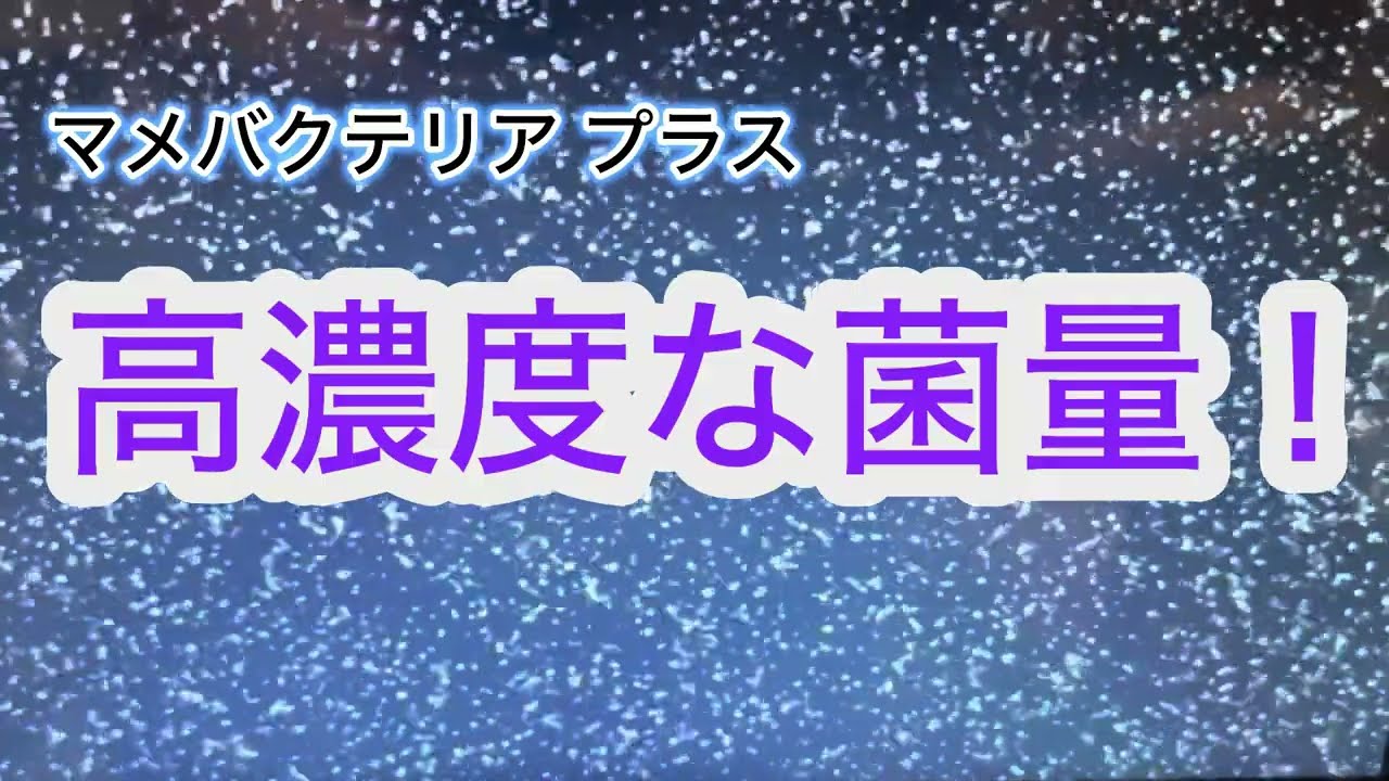 マメフルードフィルター【マメデザインxフジノスパイラル コラボ