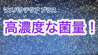 マメバクテリアプラス【マメデザイン】ニトロフレッシュ（淡水用）