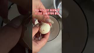 매일 아침 삶은 달걀을 먹는 것은 심혈관계에 좋습니다. #건강#심혈관질환#eggs