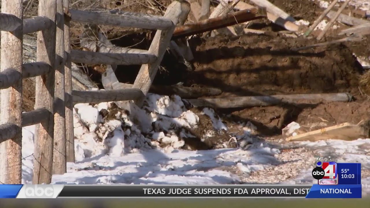 several-people-trapped-in-mudslide-rescued-by-authorities-and