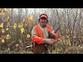 Grouse Camp 2019 Day 2! Grouse and Woodcock Hunting in Wisconsin