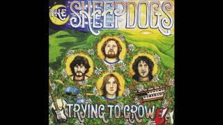 The Sheepdogs - Save Yourself