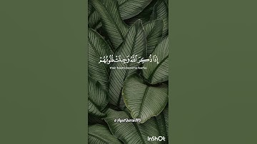 تلاوة خاشعة تريح القلب❤️ #قرآن #تلاوة_خاشعة #المصحف #tilawati354 #اكسبلور