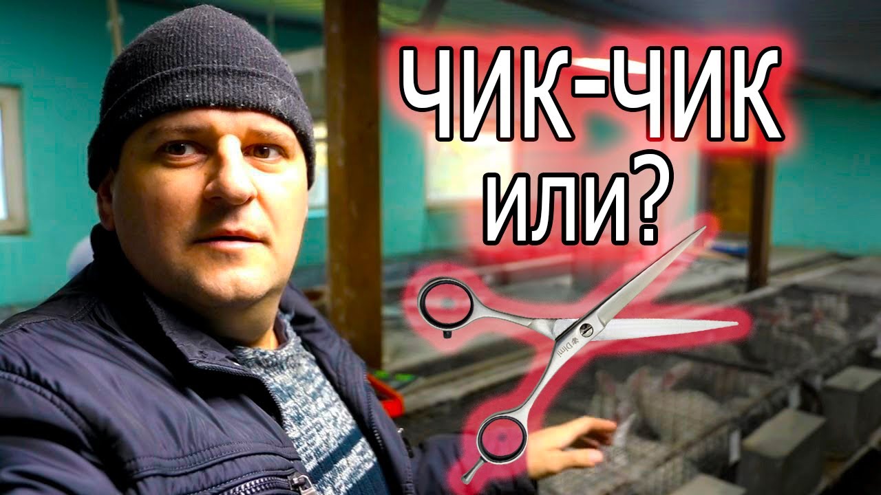 КАСТРАЦИЯ, САМКА НЕ КОРМИТ, РЕМОНТ! - YouTube