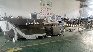 spout doypack sorter counter | spouted pouch sorting counting machinery