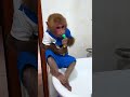 Smart monkey has independence to brush teeth #monkeysmart #monkeycute