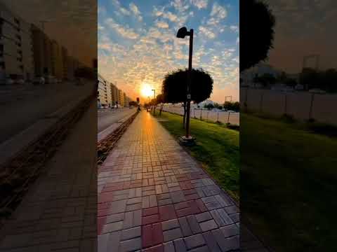 أيهاب القواسمي قلبي بصدري بطق طق