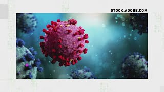 COVID-reported deaths must have virus as immediate or contributing cause