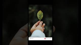 I'm photographer. #xiaomiphotography  #love #shorts  #iloveyou #lovequotes #love  #reels #trending