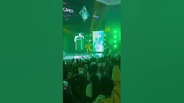 Wizkid Performing Beat Of Life At The CANEX 2025 Mega Concert In Algiers Algeria 