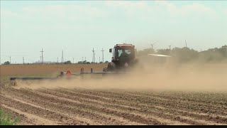 Farm Bill passes Senate with hemp legislation included