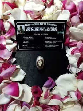 Mustika lingsang geni