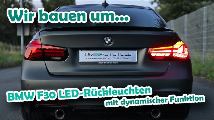 LED Rückleuchten SET Rot dynamische Blinker OLED Funktion passt