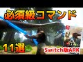 ARK Switch版でも使える必須級コマンド11選
