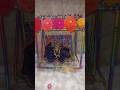Janmashtami Special Decoration 🤩🥰😳 #janmashtami #diy #shorts #youtubeshorts #viralshorts #festival