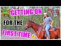 Getting On My Horse For The First Time! | Starting Brandy Pt.7