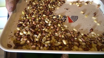 AMD Peanut Color Sorter Machine