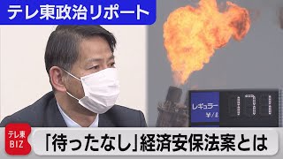 「命と暮らしを守るため 待ったなし」経済安保推進法案はなぜ必要なのか【テレ東政治リポート】（2022年3月18日）