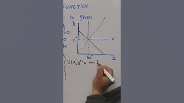 #shorts leontief utility function utility maximization
