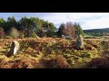 Clune wood stone circle aberdeenshire scotland