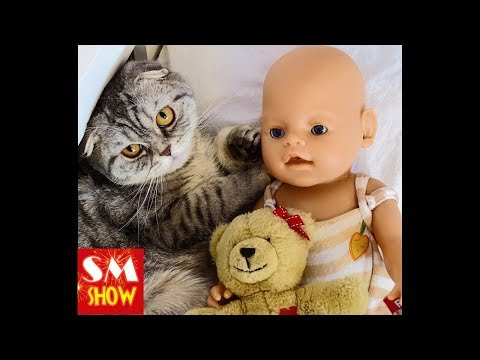 doll and cat