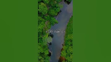 أَن أَعْطَيْنَاكَ الْكَوْثَرَ 💚🌾سورة الكوثر بصوت جميل 🌾حالات واتس اب دينية مؤثرة
