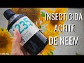 Qué es el ACEITE DE NEEM (nim)?  Qué lleva, qué hace y cómo se usa? FUERA DUDAS || en20metros