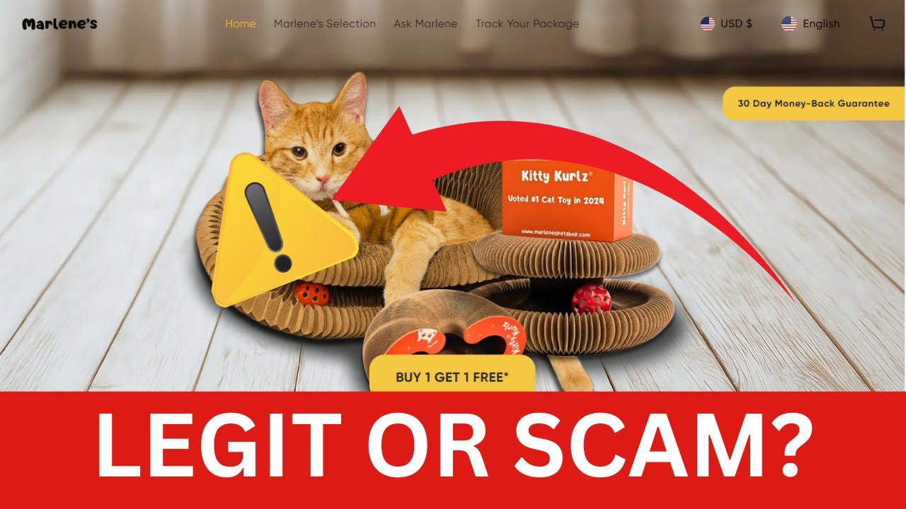 Обзор магазина Marlenes Pet Shop — настоящий магазин или мошенничество?