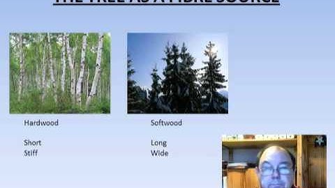 Introduction to Papermaking - Fibres