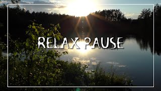 Лесное озеро. Закат. Релакс пауза #relaxing #relax #relaxpause #природа #лес #озеро