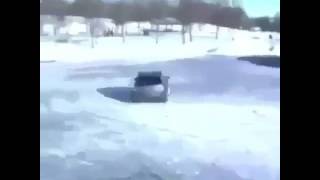 Dog Driving A Car Meme