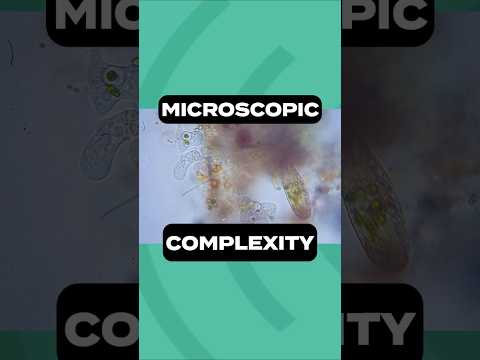 Microscopic Complexity #TandemRepeats #Podcast #Science