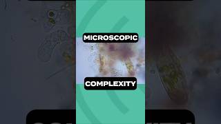 Microscopic Complexity #TandemRepeats #Podcast #Science