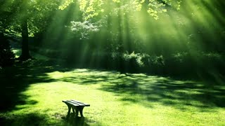 Mind Blowing Motivational Music💖 Happy Relaxing Music 🌹Dance Of Life💜Early Morning Soft Piano Music