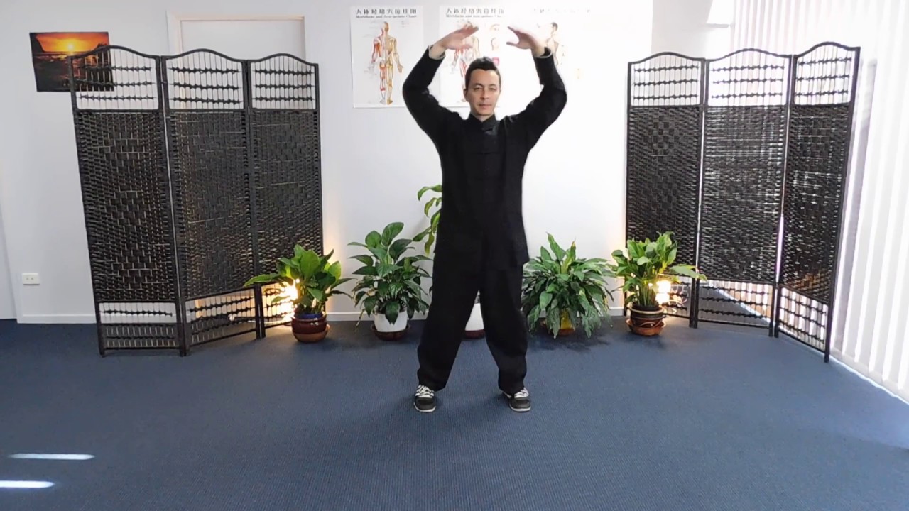 Sapphire Tai Chi Qigong - Crane Spreads Wings - Sifu Steve Chin 2017