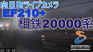 【向日町ライブカメラ】EF210+相鉄2000系甲種輸送