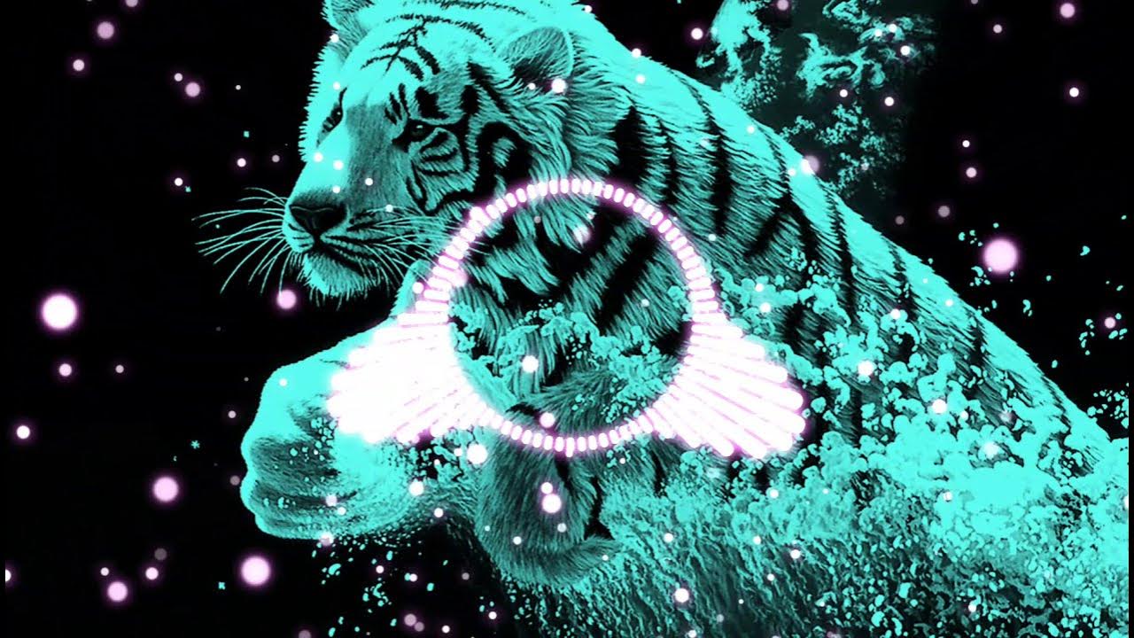 Золотой тигр обои. Eye of the tiger рингтон. Tiger рингтон. Че за лев. Тигр бенгальский ягуар.