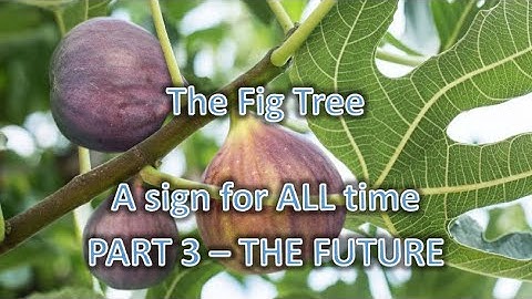 THE FIG TREE - A SIGN FOR ALL TIME - PART 3-  THE FUTURE