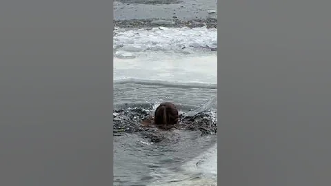 EPIPHANY BATHING 2025 #1881 SWIMMING WINTER #bathing #ice #swimming #baptism #epiphanybathing